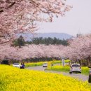 제주앓이 이미지