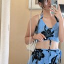 Hawaii PT 이미지