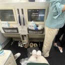 946 | KE946 프랑크푸르트-인천 대한항공 비지니스 후기, 식사 메뉴(25년 12월말)