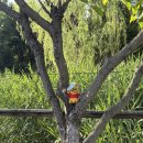 장미공원안내소 | 서울 용산공원 부분개방부지 미군기지 포토존, 카페 방문 후기