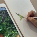 보태니컬 아트 전문가 이미지