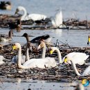 동읍1200 이미지