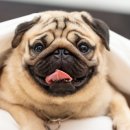 나우메디칼 이미지