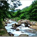 시인의정원펜션 이미지