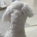 살롱아르르 이미지