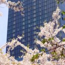 서울호텔 이미지