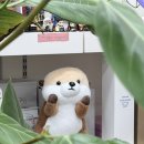 눈바래다 | 제천여행 3탄 소품샵편 | 제천 내토전통시장 근처 소품샵 눈바래다 후기