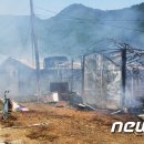 홍천양계 이미지