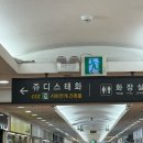 쥬디스헤어 - 계양구 계수로 12 | w11. 서면 매직쇼 헤어피스 후기, 웨딩촬영 헤어피스 추천