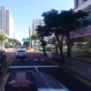 뉴월드공인중개사사무소 이미지