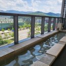 아쿠아필드 고양 이미지