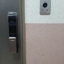 더펠리스 이미지