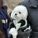 자매호프 주변 | :*:･｡,☆ﾟ’･:*:･｡,동수엔터 1월 월말평가,｡･:*:･ﾟ’☆,｡･:*: