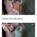 봉희농장 | 일흔 넘도록 바다를 본 적 없는 할머니들