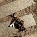 뮤지엄호두 이미지