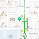 반려동물미용실 언니네 이미지