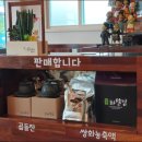 홍삼찻집 이미지