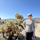 Joshua Tree National Park 1박2일 캠프 둘째날 2 막 ~ 이미지