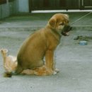 허브당구장 이미지