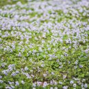 아이러브안경 이미지