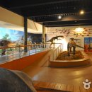 창조자연사박물관 이미지