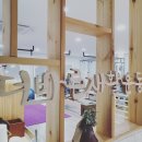 더바른교정재활센터 이미지