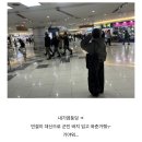 디자인마안