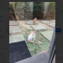 길튼치과의원 이미지