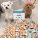 강씨네 | (제주강씨네) 미니파우치 이벤트당첨 후기