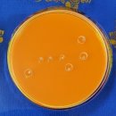 명수한의원 이미지