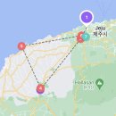 스테이해모루 | [제주도 부모님 여행] 2박3일 가을여행🍊 1일차 새별오름, 카페새빌 핑크뮬리, 노티드, 신라스테이 제주