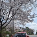 가사문학초등학교 이미지