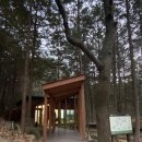 건지산숲속작은도서관 | 전주 편백나무 하트 진풍경 건지산 숲속 작은 도서관 솔직후기