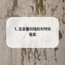프로폴리