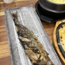 도래울회포차 | 원흥 도래울 회포차 내돈내산 솔직후기