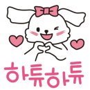 순수하개 이미지