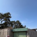송송 스테이 | 전주 촌캉스 숙소 추천 “송송스테이” 전주대 40분 독채 감성 숙소 자쿠지·수영장·바비큐까지 완벽