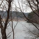 물버들마을 이미지