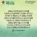콩깍지 이미지