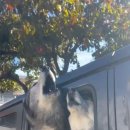 개미용실 이미지