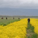 김영석농장 이미지