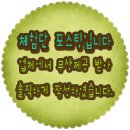 한입홀릭