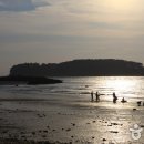 보령 나들이 1코스 이미지