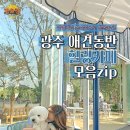 더봄애견 이미지