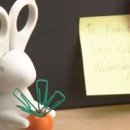 지혜로운생활연구소 이미지