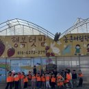 경기도 수원시 권선구 세권로138번길 63 (세류동) | 국가대표 SH 태권도장, 딸기농장 체험/세류동 태권도/권선동 태권도