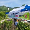 고창군애향청년회고창군선운산국민여가캠핑장 이미지