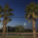 엠제이주유소 이미지