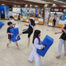 용인대 미르 태권도장 이미지