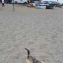 불이채민박